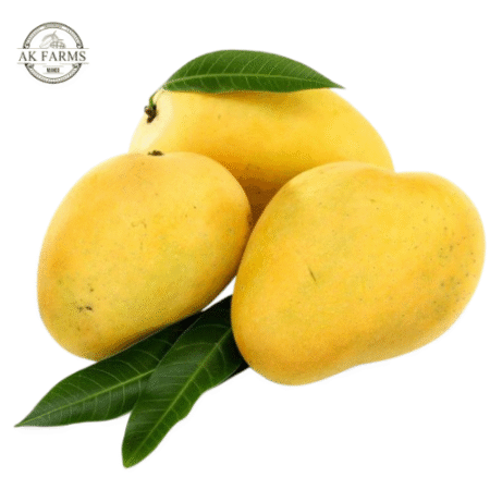 White Chaunsa Mango With Premium Gift Packaging