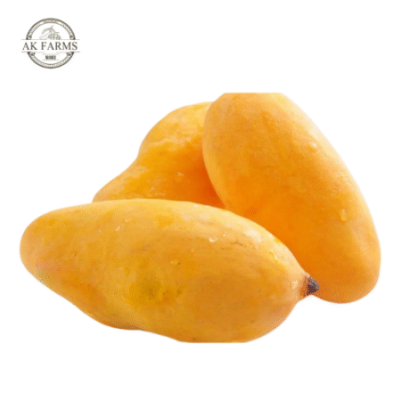 Chaunsa Mango With Premium Gift Packaging