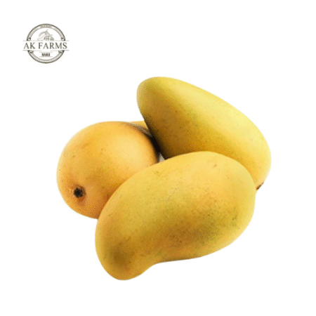 Dusheri Mango With Premium Gift Packaging