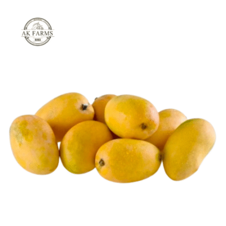 Ratol 12 No. Mango With Premium Gift Packaging